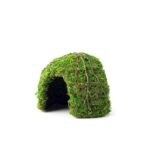 GAL MOSSY DOME 6&quot; GREEN