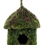 GAL SHACK HOUSE