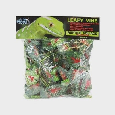 PANGEA LEAFY VINE CALADIUM 6FT