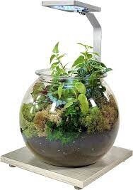 PPX LED PLANT LIGHT