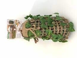 PPX COCONUT CLIMBER