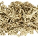 GAL BLONDE SPHAGNUM 1/3 LB