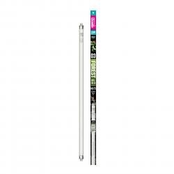 ARC D3 6% T5 22&quot;