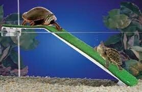 PPX TURTLE PLATFORM