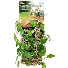 PPX COCONUT CLIMBER BIRD