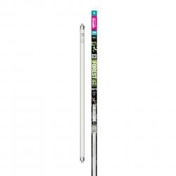 ARC D3 6% T5 34&quot;