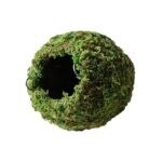 GAL MOSSY CAVE 6 IN GREEN