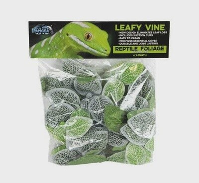 PANGEA LEAFY VINE FITTONIA 6FT