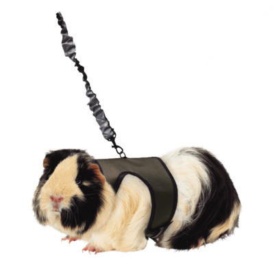 KT COMFORT HARNESS LG