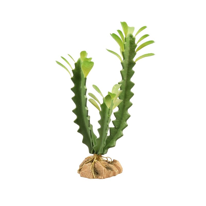 ZOO MED PLANT DESERT EUPHORBIA