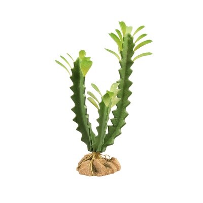 ZOO MED PLANT DESERT EUPHORBIA