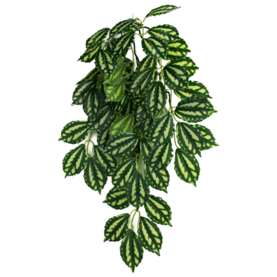 KOMODO PLANT TWO TONE LEAF SM