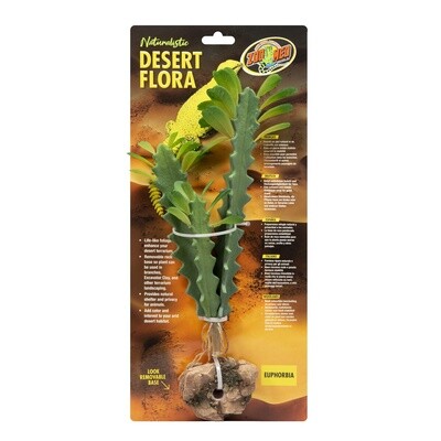 ZM PLANT DESERT EUPHORBIA