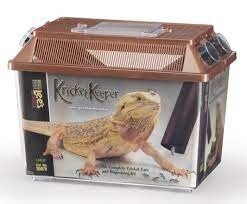 LEE KRICKET KEEPER LG