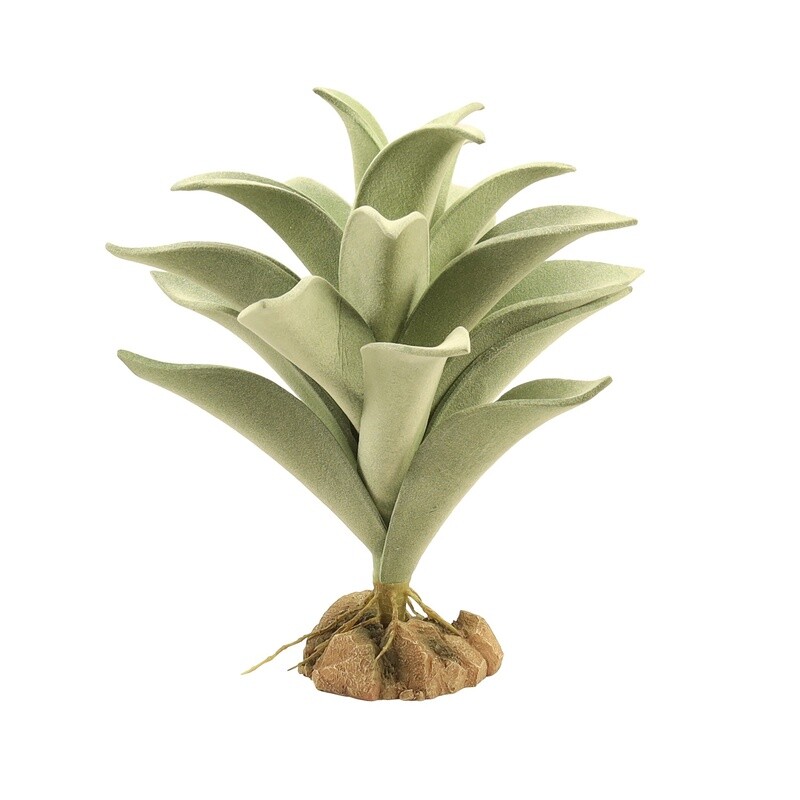 ZOO MED PLANT DESERT SILVER MULLEIN