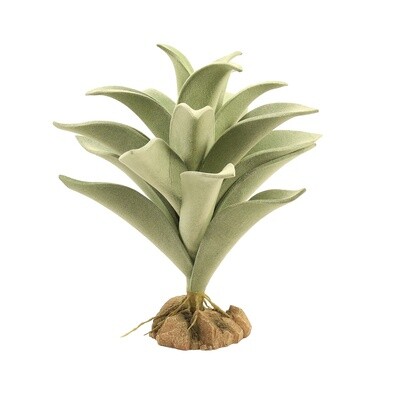 ZOO MED PLANT DESERT SILVER MULLEIN