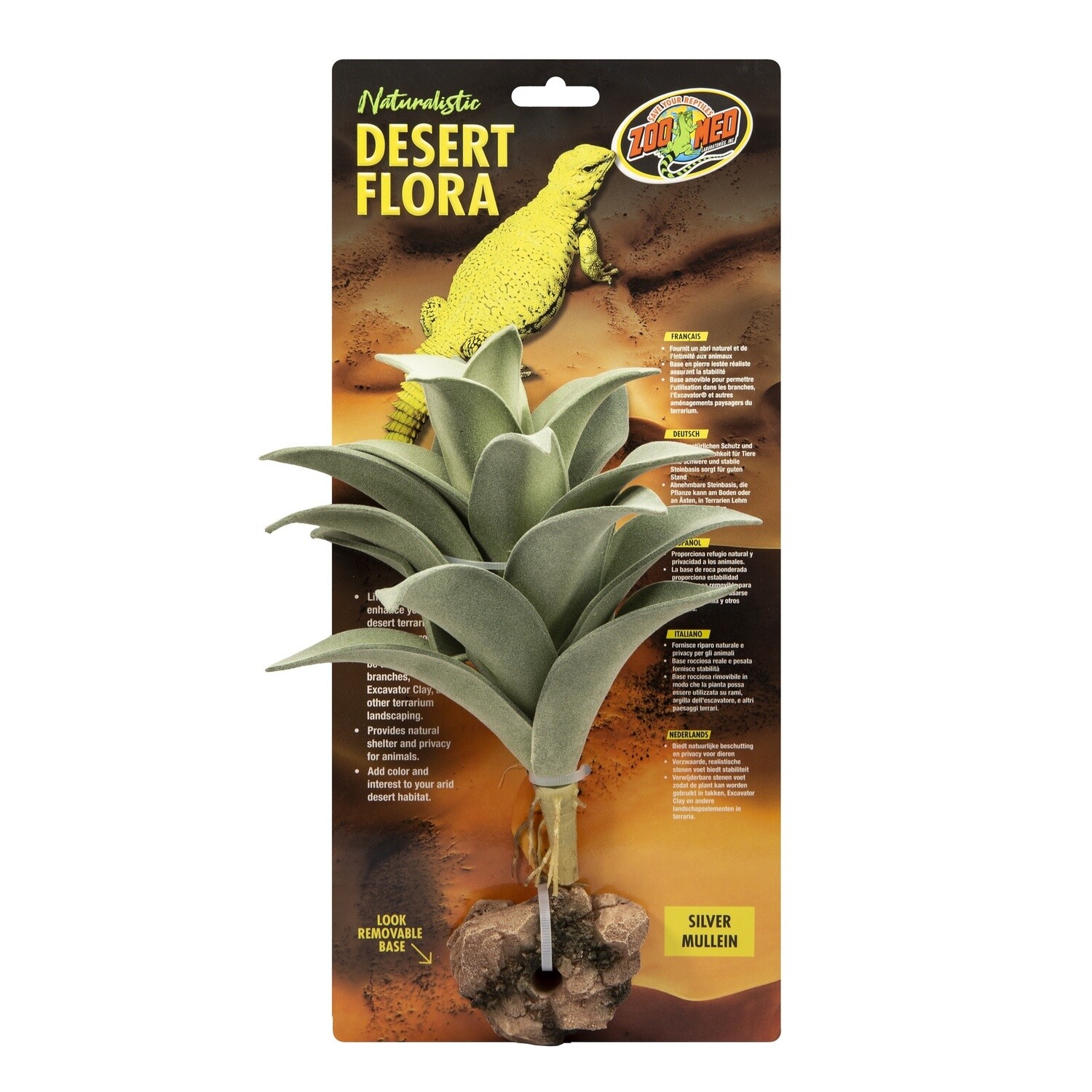 ZM PLANT DESERT SILVER MULLEIN