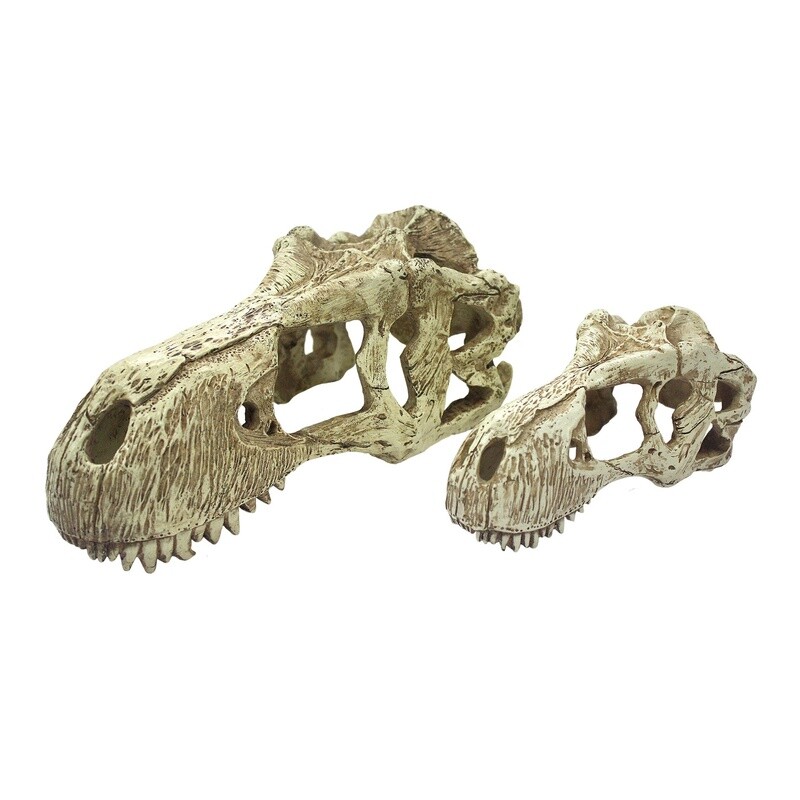 KOMODO T-REX SKULL LG