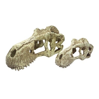 KOMODO T-REX SKULL XL