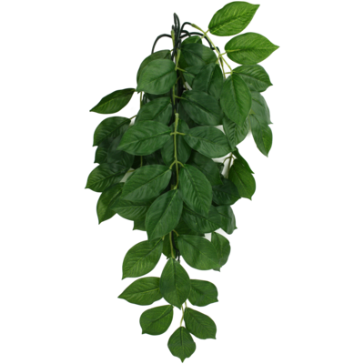 KOMODO PLANT GREEN LEAF LG