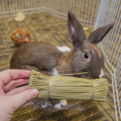WARE BRISTLE BUNCHES