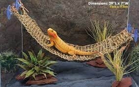 PPX LIZARD LOUNGER BRIDGE