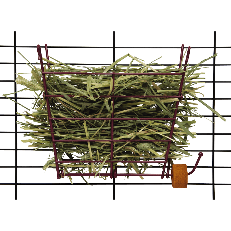 KT HAY MANGER W/ SALT HANGER