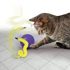KONG PURRSUIT WHIRLWIND