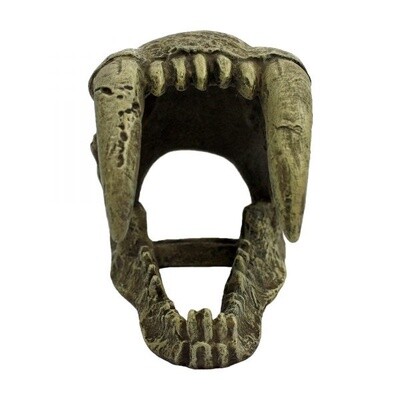 KOMODO SABER TOOTH