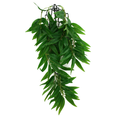 KOMODO PLANT BAMBOO SM