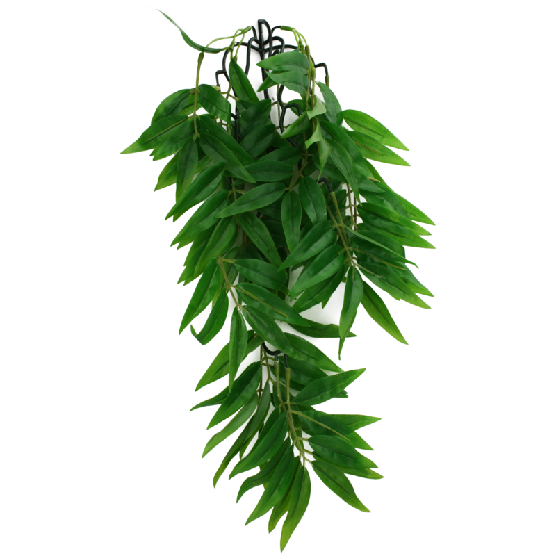 KOMODO PLANT BAMBOO SM