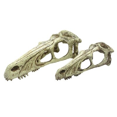KOMODO RAPTOR SKULL LG