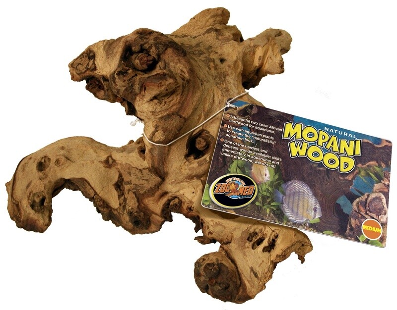 ZM AFRICAN MOPANI WOOD MD