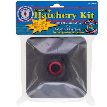 SFB BRINE SHRIMP HATCHERY