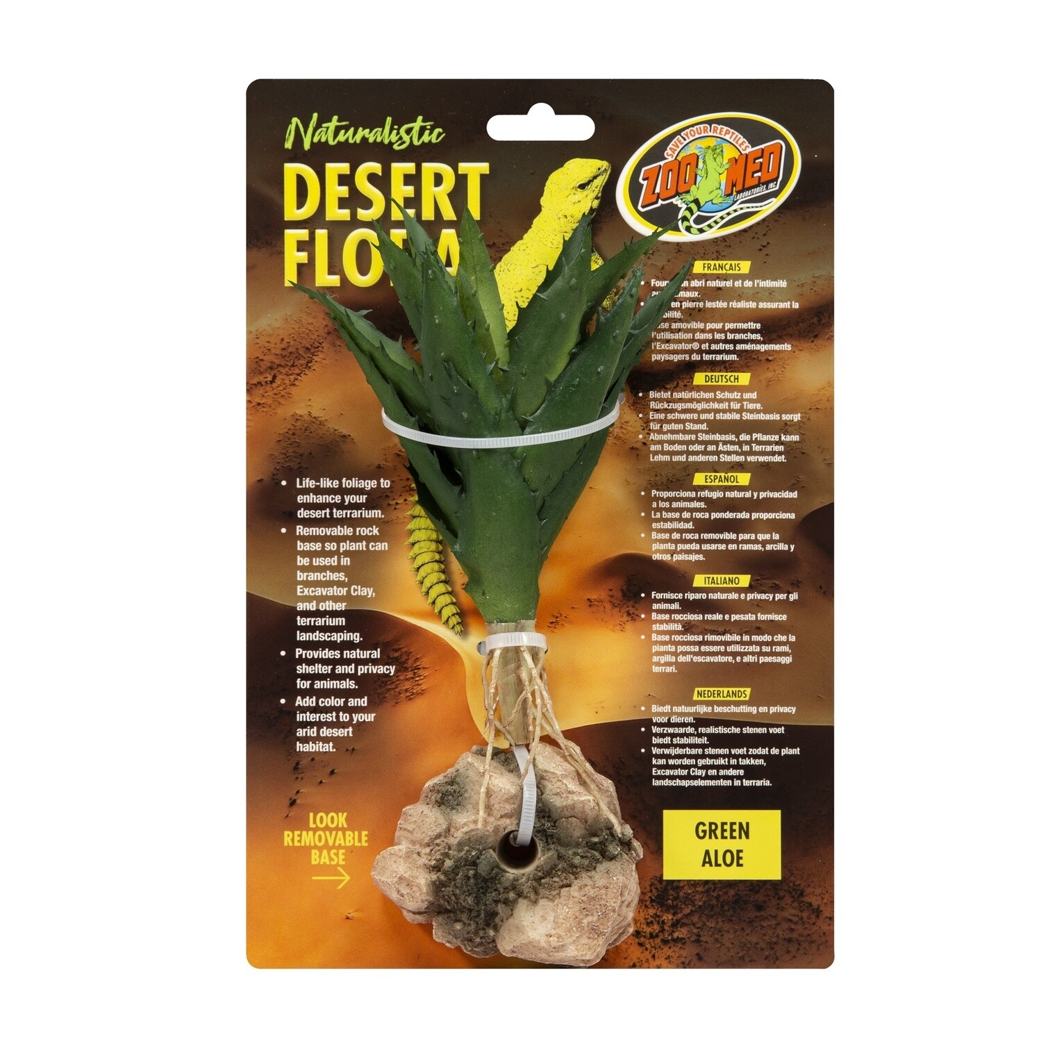 ZM PLANT DESERT GREEN ALOE