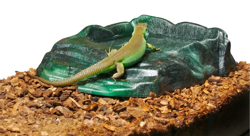 ZOO MED REPTI RAMP BOWL LARGE