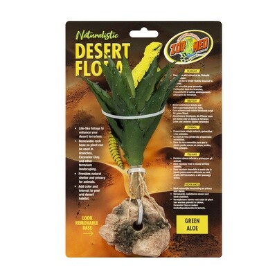 ZM PLANT DESERT GREEN ALOE