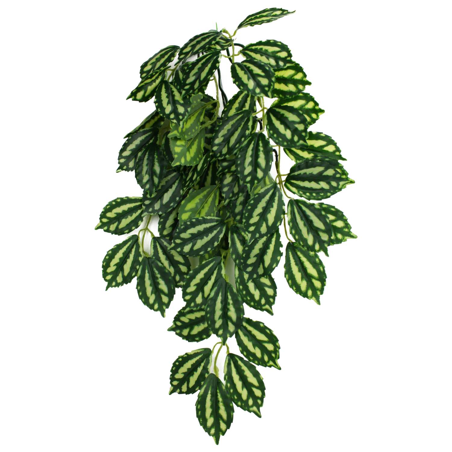 KOMODO PLANT TWO TONE LEAF LG
