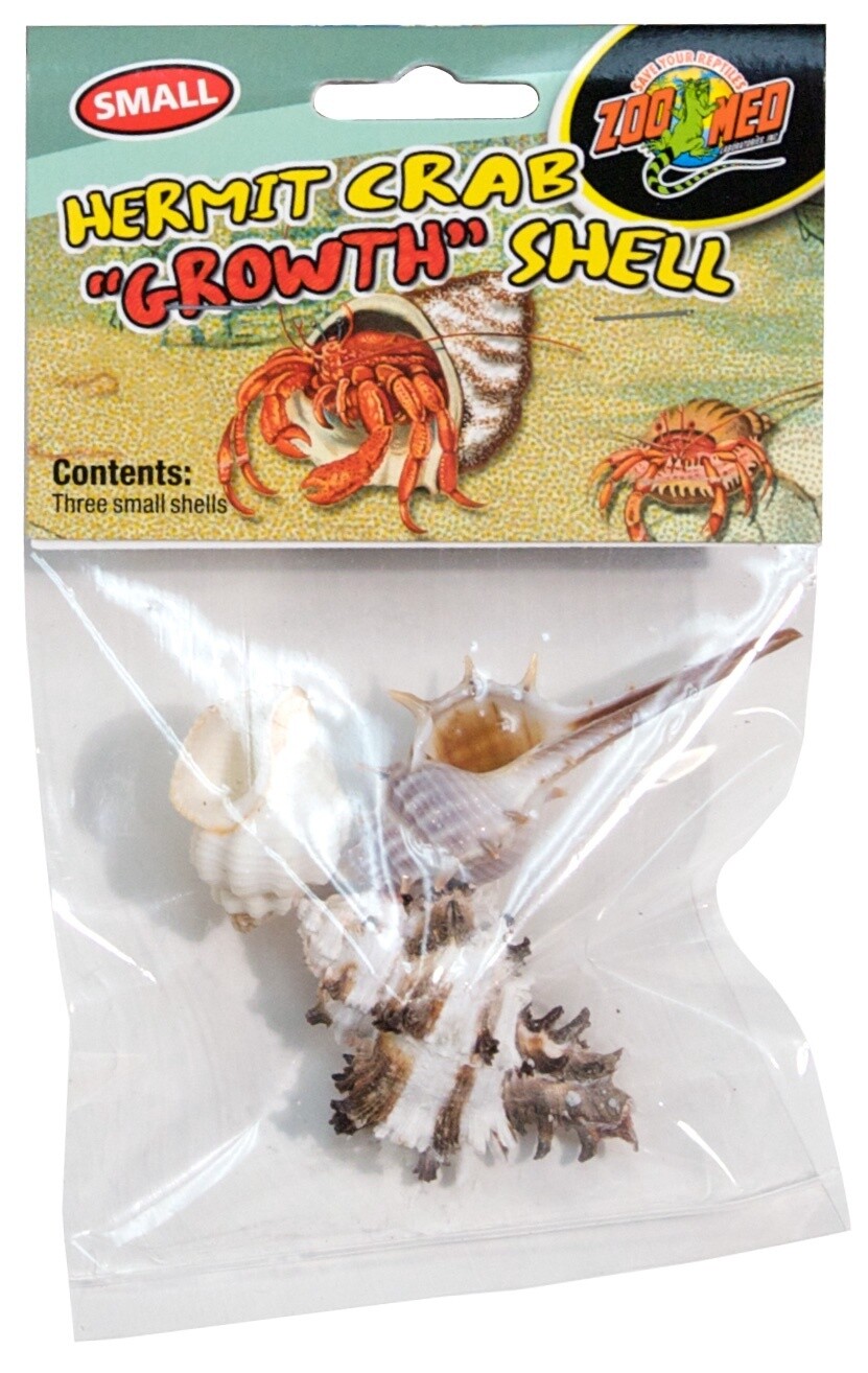 ZM HERMIT CRAB SHELL SM 3PK
