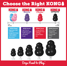 KONG XTREME M
