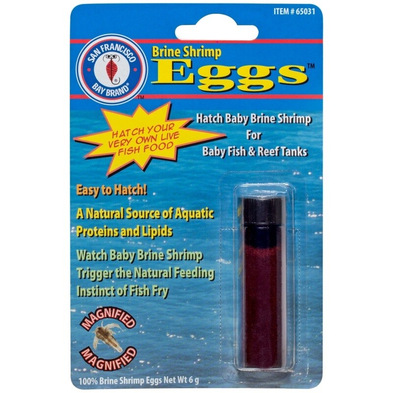 SFB BRINE SHRIMP EGGS 6 GM