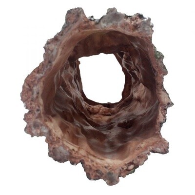 KOMODO FOREST LOG SM