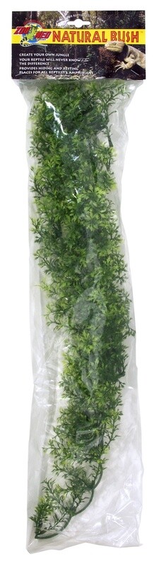 ZM PLANT AUS MAPLE LG