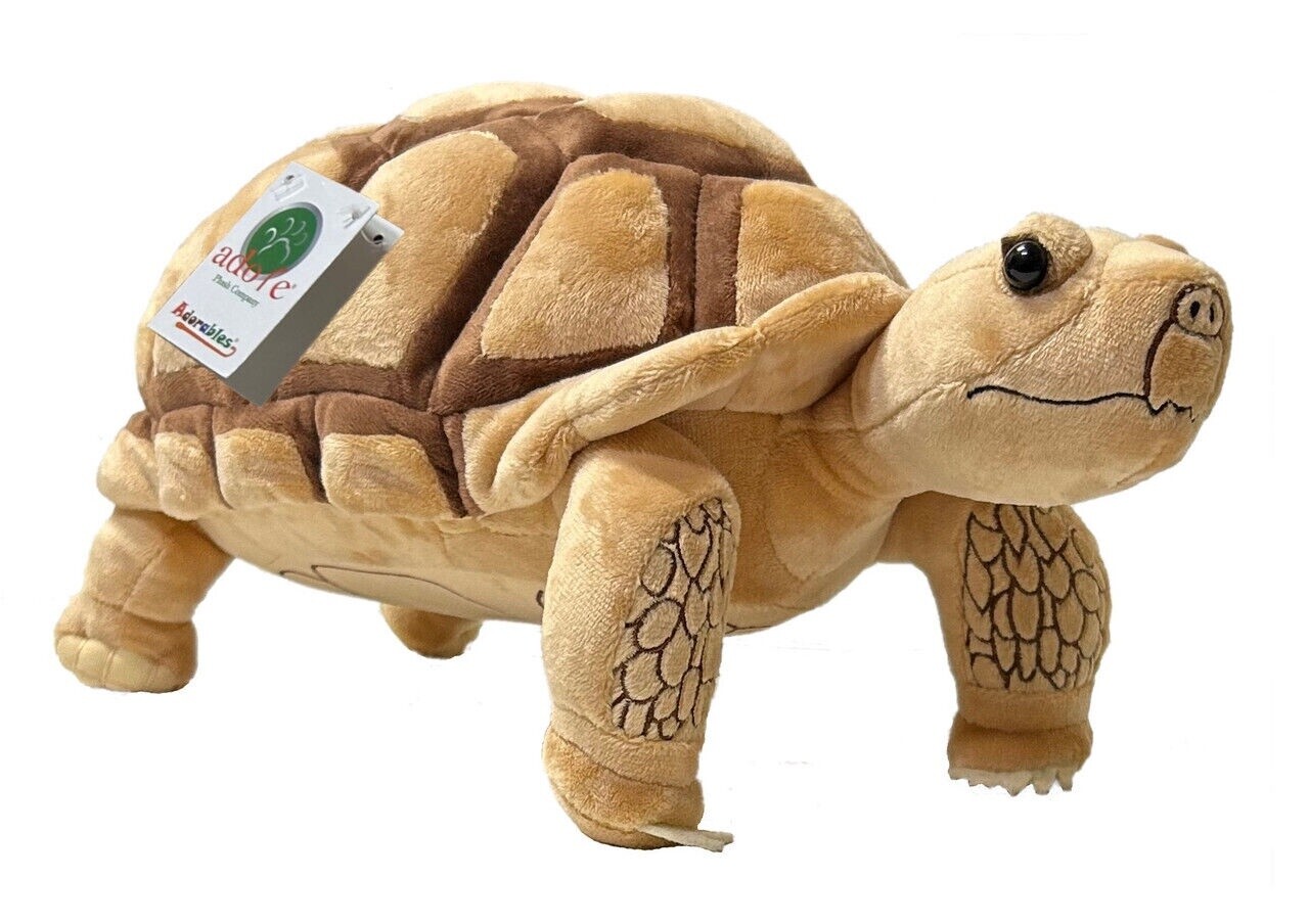 APC GROOVES THE SULCATA