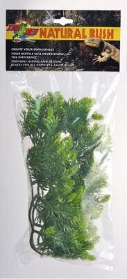 ZM PLANT MALAYSIAN FERN MD