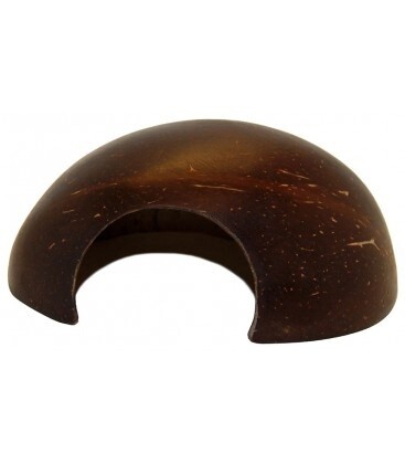 *LUG POLISHED HIDE COCOHUT