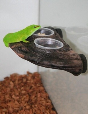 PT GECKO LEDGE EARTH