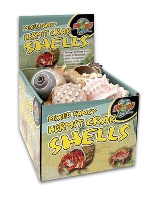 ZM HERMIT CRAB SHELLS BULK
