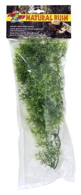 ZM PLANT AUS MAPLE MD