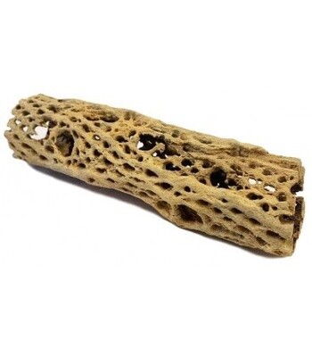 LUG CHOLLA MD